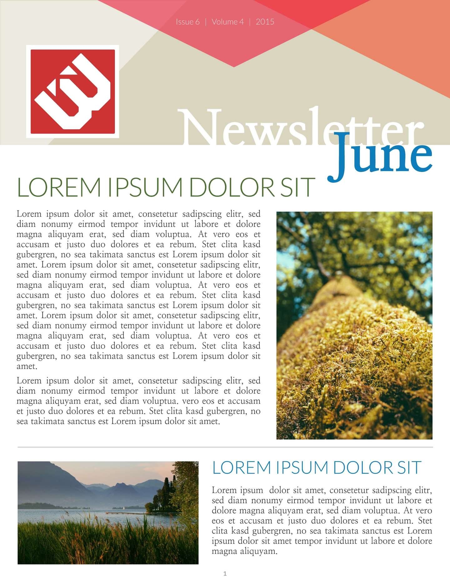 Free Printable Newsletter Templates Examples Lucidpress