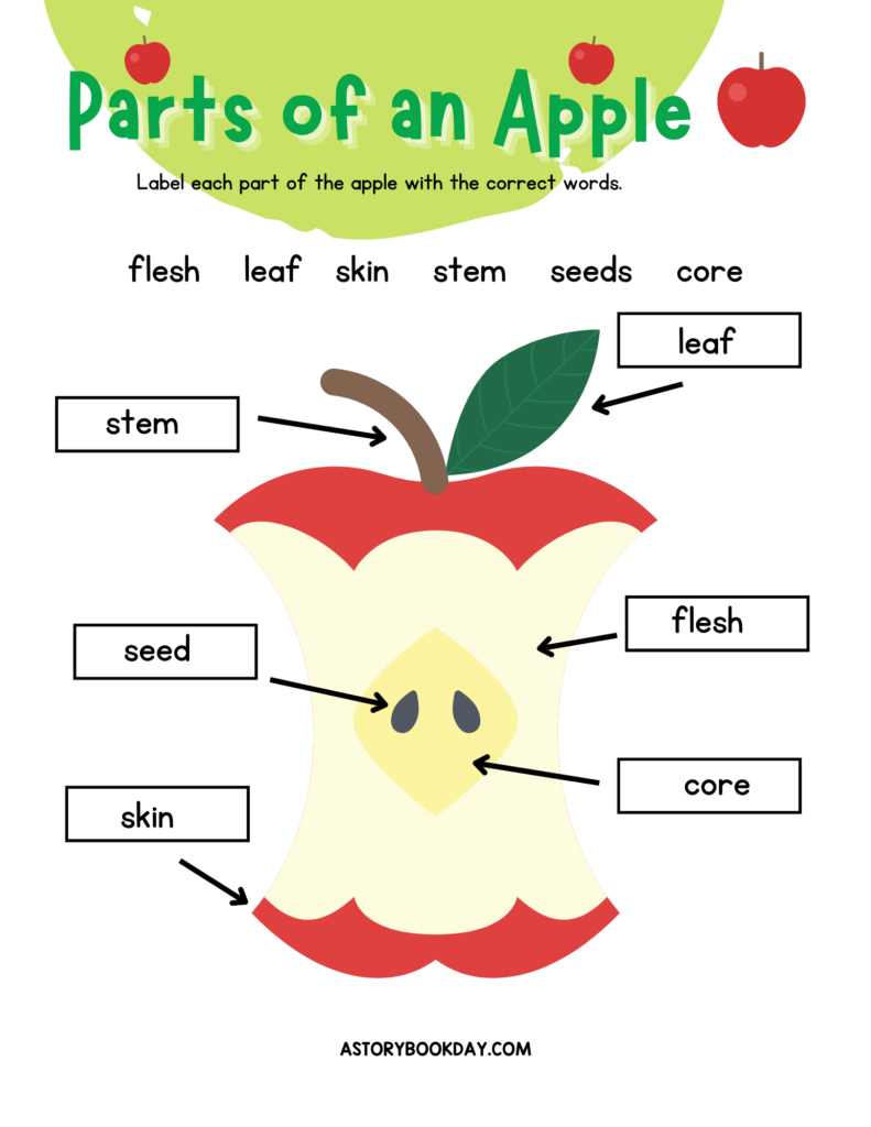Free Printable Parts Of An Apple Worksheet For Kids A Storybook Day