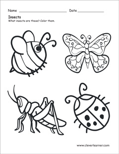 Free Printable Preschool Bug Worksheets