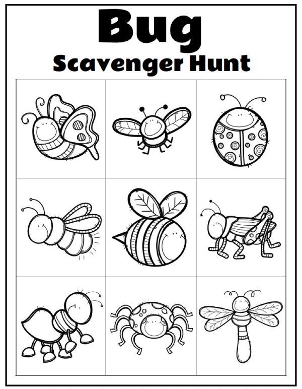Free Printable Preschool Bug Worksheets