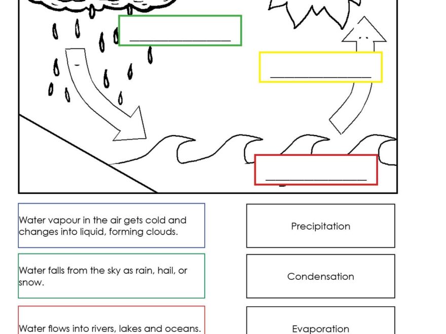 Free Printable Water Cycle Worksheets