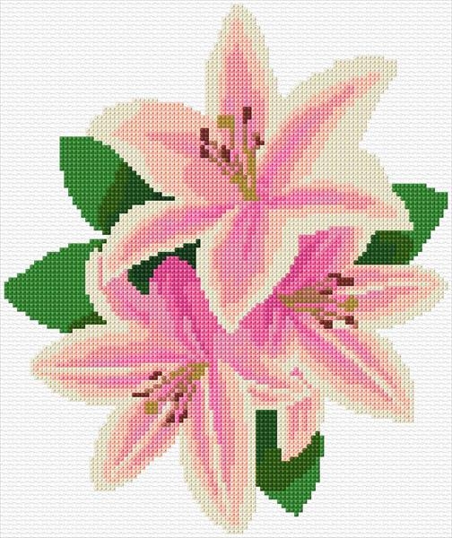 Lilies Cross Stitch Designs