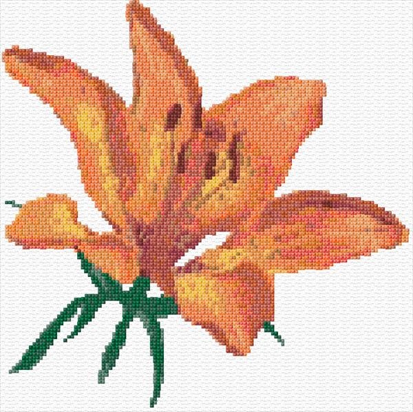 Lily Cross Stitch Designs