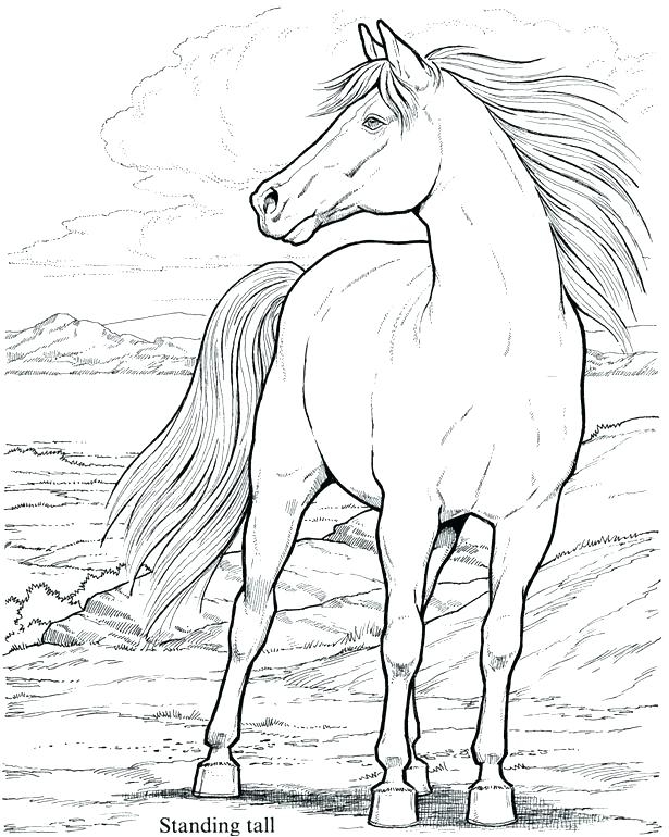 Mustang Horse Coloring Pages At GetColorings Free Printable Mustang Horse Coloring Pages At GetColorings Free Printable