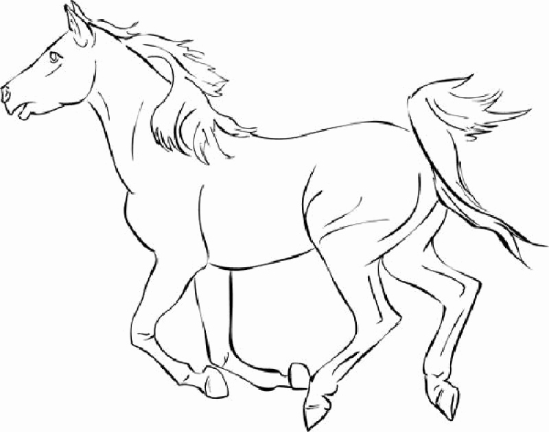 Mustang Horse Coloring Pages At GetColorings Free Printable