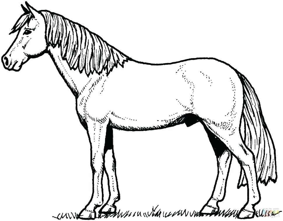 Mustang Horse Coloring Pages Printable At GetColorings Free Mustang Horse Coloring Pages Printable At GetColorings Free