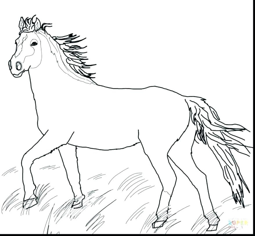 Mustang Horse Coloring Pages Printable At GetColorings Free Mustang Horse Coloring Pages Printable At GetColorings Free