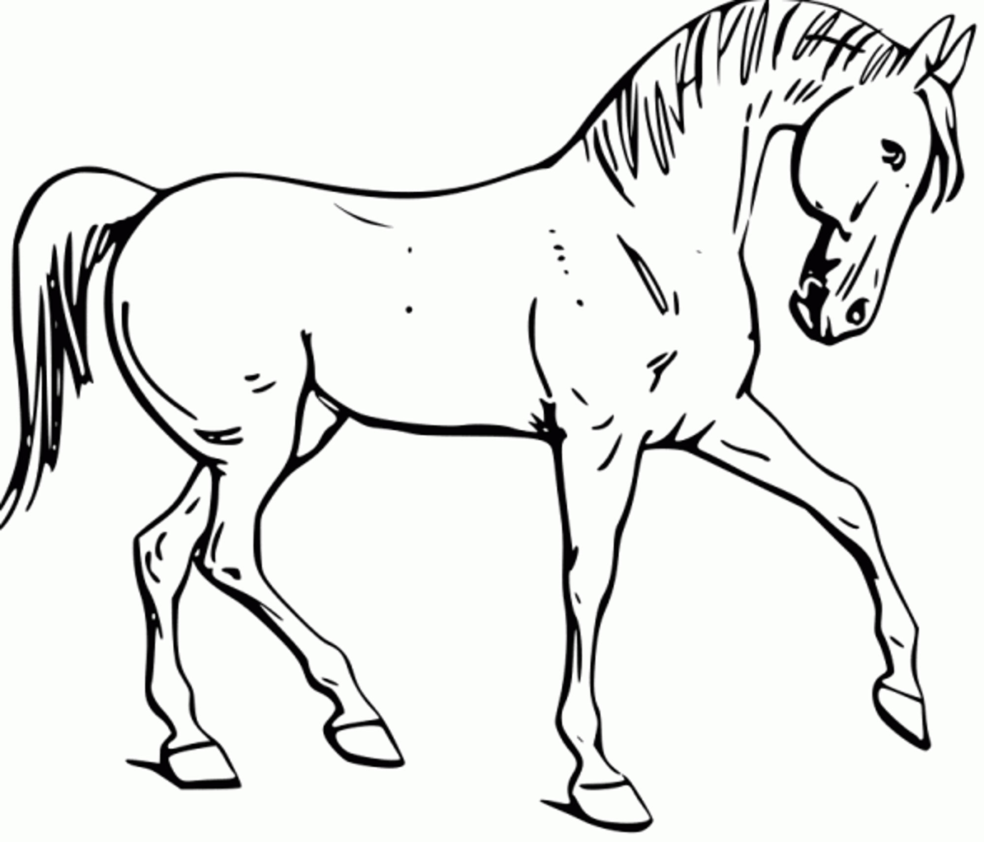 Mustang Horse Coloring Pages Printable At GetColorings Free Mustang Horse Coloring Pages Printable At GetColorings Free