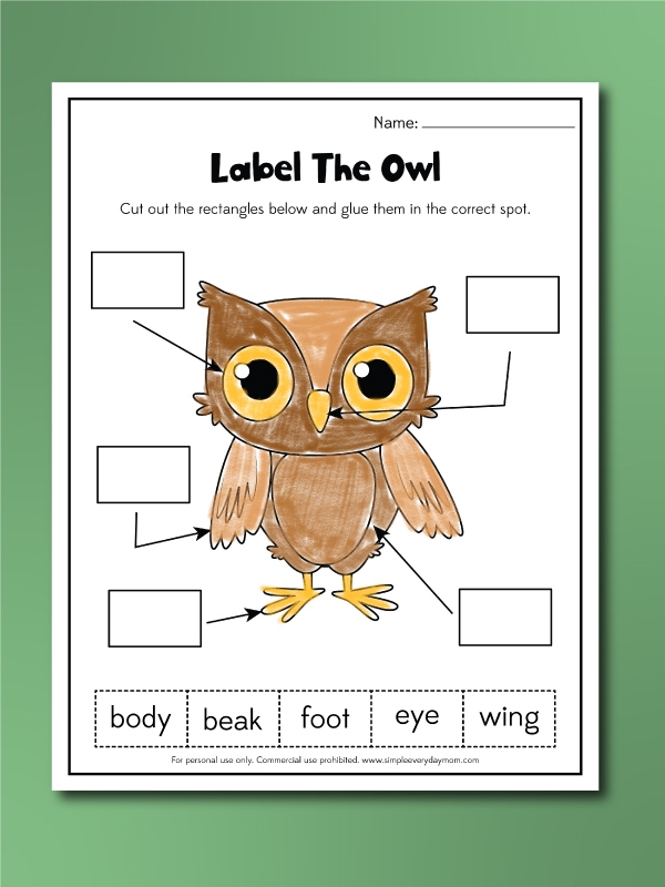 Owl Worksheets For Kids Free Printables 