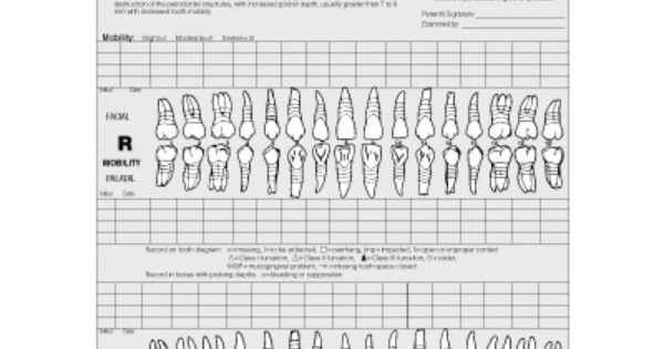 Perio Chart Printable Full Sheet
