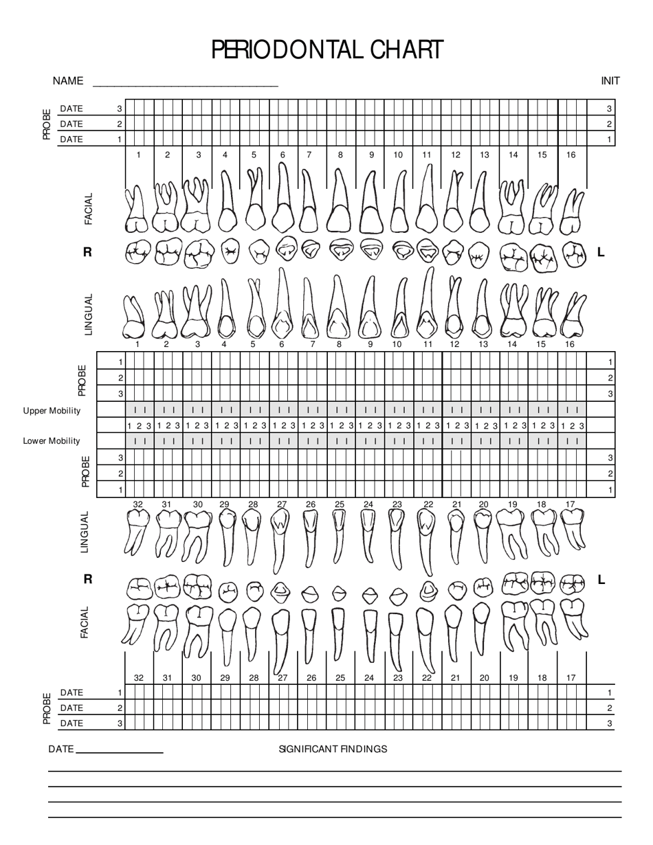 Periodontal Chart Cambridge Dental Consultants Download Printable PDF 
