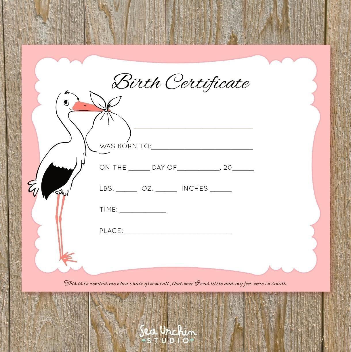 Birth Certificate Printable Play