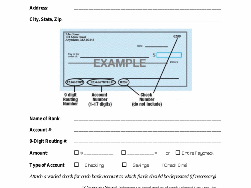 Printable Direct Deposit Form Printable Form 2024