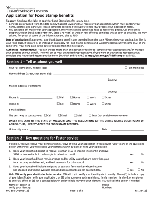 Printable Food Stamp Application