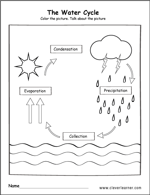 Water Cycle Diagram Printable Worksheet