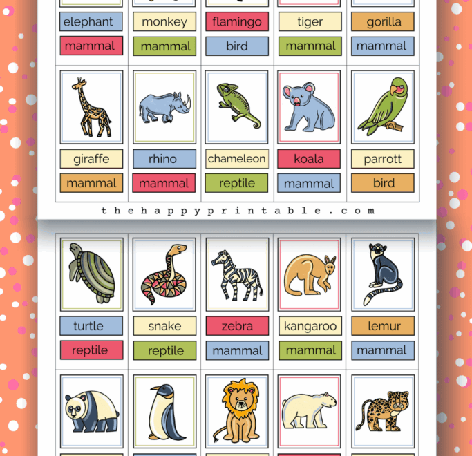 Printable Zoo Animal Flashcards The Happy Printable