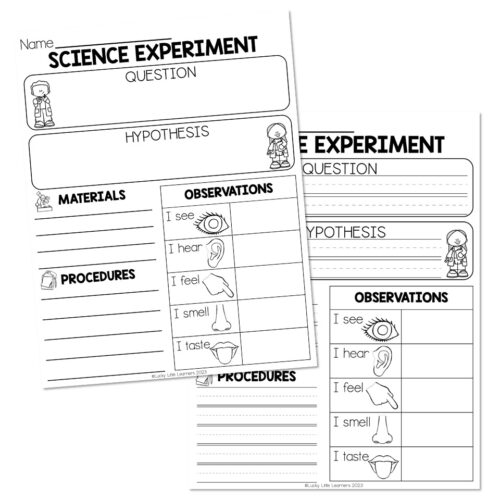 Simple Printable Elementary Science Project Forms