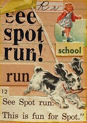 See Spot Run Book Cover Run It Fast Run It Fast 