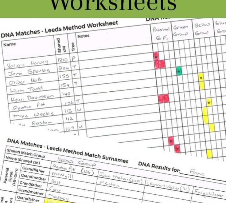 Sorting Your DNA Matches With The Leeds Method Part 1 Dna Genealogy