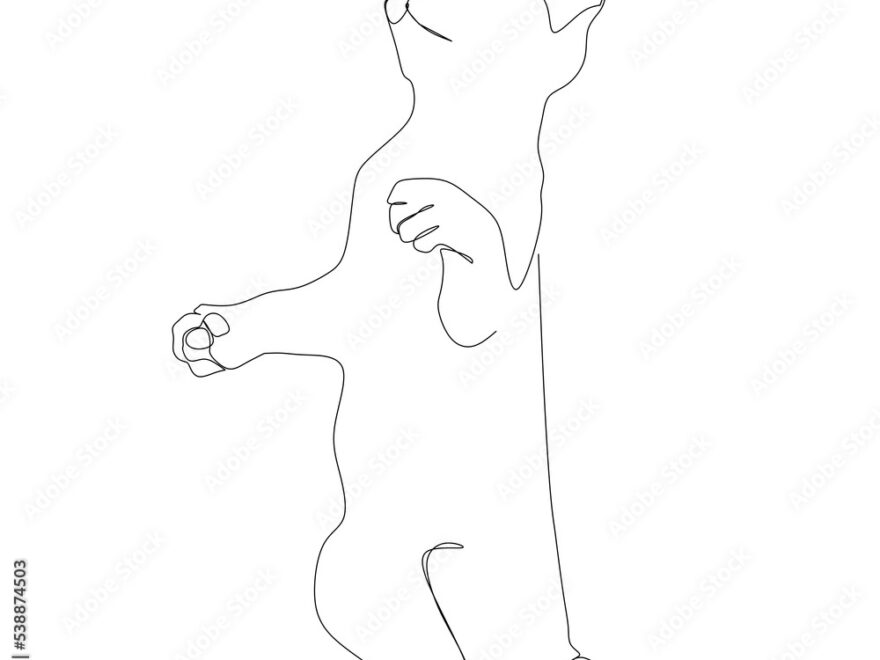 Standing Cat Silhouette