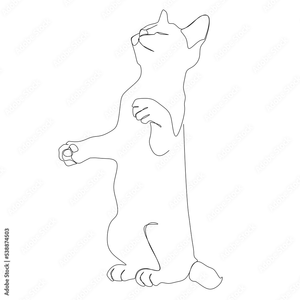 Standing Cat Silhouette