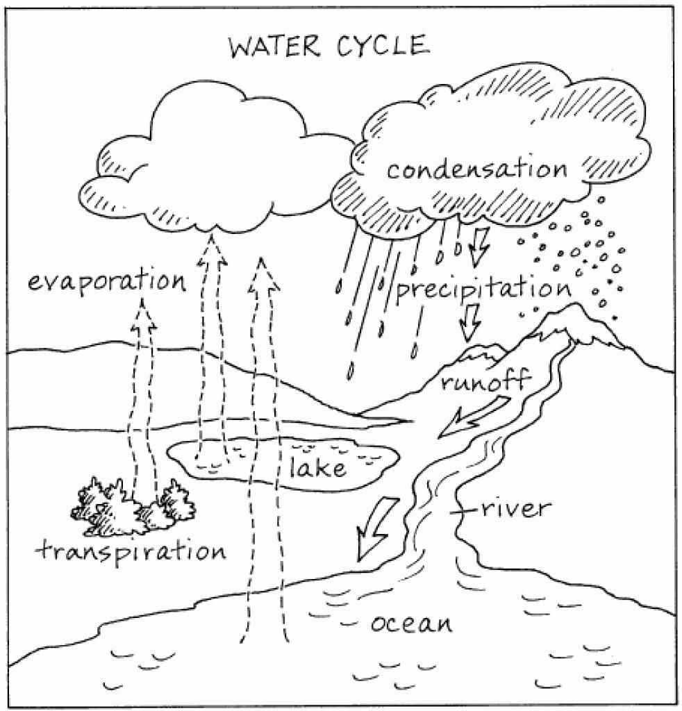 Water Cycle Free Printables Printable Calendars AT A GLANCE