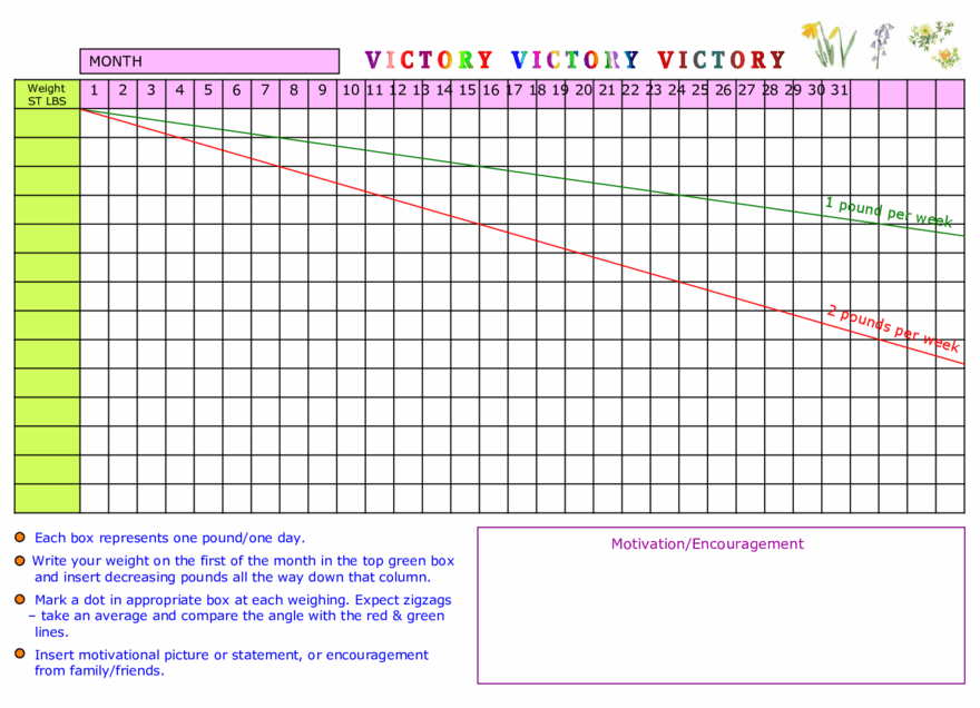 Weight Loss Chart Template Free Edit Fill Sign Online Handypdf