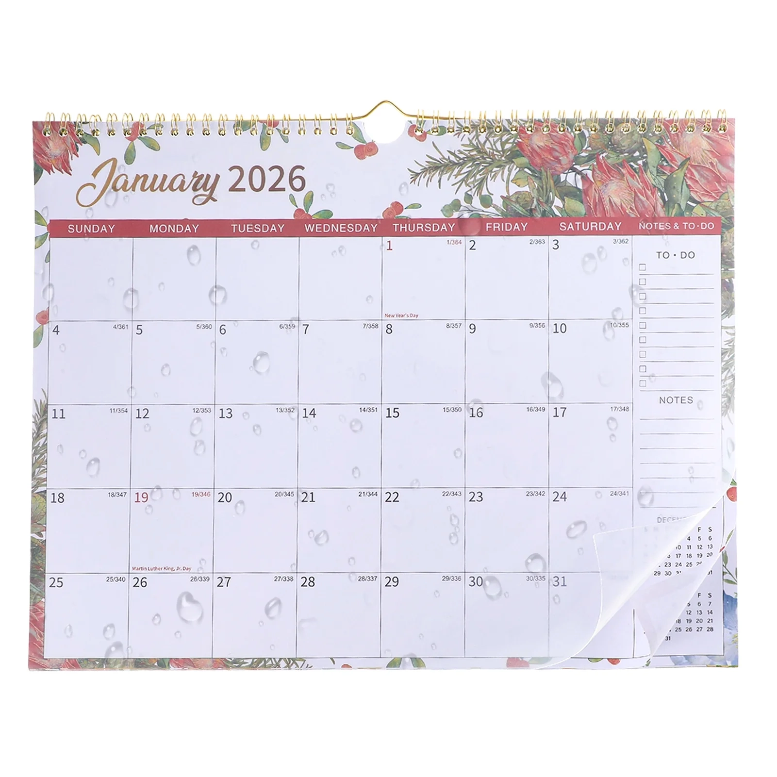 Sixwipe Wall Calendar 2026 12 Monthly Wall Calendar 15 X 11 
